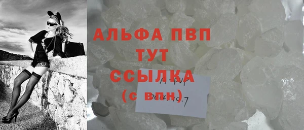 индика Верея