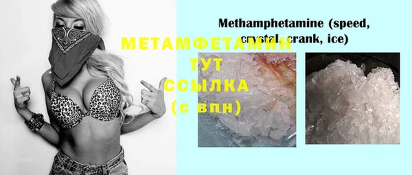 индика Верея