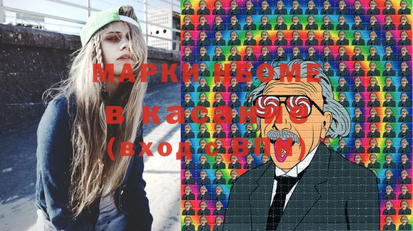 индика Верея