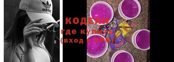 индика Верея