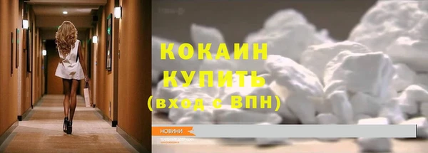 индика Верея