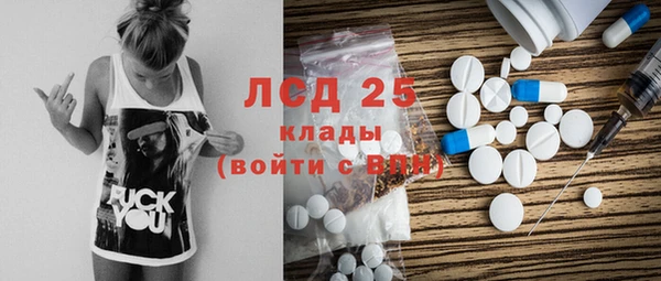 индика Верея