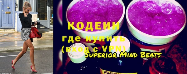 индика Верея