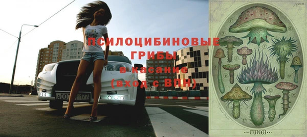 амф Богданович