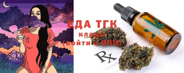 индика Верея